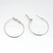 Серьги железным обручем E220