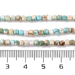 Fili di perline howlite naturale&nbsp;G-H025-04A