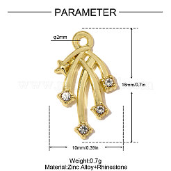 Aleación de zinc con colgantes de rhinestone de cristal&nbsp;RB-OY001-75G