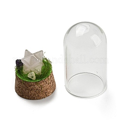 Украшение многоугольного дисплея из натурального розового кварца со стеклянным куполом-клошом&nbsp;DJEW-B009-05F