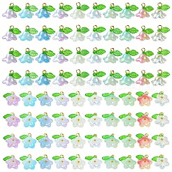 Акриловые подвески PALLOY-YW00052