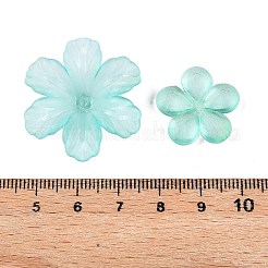 Прозрачные акриловые бусины&nbsp;OACR-H039-04G