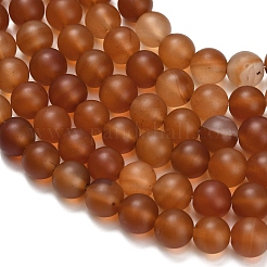 Chapelets de perles en cornaline naturelle&nbsp;LS-G-L642-G01-8mm