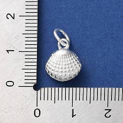 925 Sterling Silber Meerestier Muschelform Anhänger&nbsp;LS-STER-E071-02S-03
