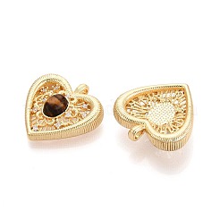 Природных тигровый глаз подвески&nbsp;KK-N287-14G-02