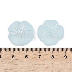 Матовые прозрачные акриловые бусины&nbsp;OACR-P029-19B-06