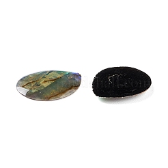 Cabochon conchiglia paua&nbsp;SSHEL-C008-11