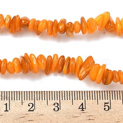 天然淡水シェルビーズ連売り  チップ  染め  ゴールド  6~16x4~8x1~7mm  穴：1mm  約97~157個/連  15.75インチ（40cm）&nbsp;BSHE-I016-01I