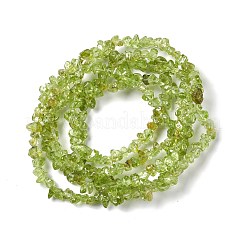 Natürlichen Peridot Chip-Perlen-Stränge&nbsp;G-G905-09