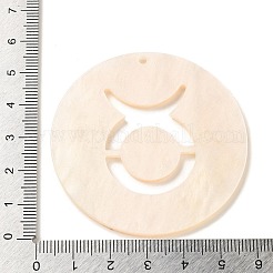 Ciondoli acrilico&nbsp;LS-SACR-S680-06G