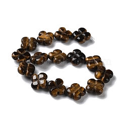 Fili di perline di occhio di tigre naturale&nbsp;G-M418-D04-01