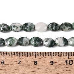 Натуральные зеленые пятна яшмовых нитей G-T142-26