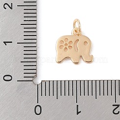 Латунь подвески&nbsp;LS-KK-N256-26G