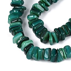 Нити бусин из натуральных пресноводных ракушек SHEL-T020-41