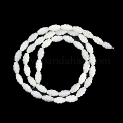 Нити бусин из натуральных пресноводных ракушек BSHE-H109-02