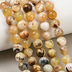 Природные желтые опал бусины пряди&nbsp;G-G992-A02-A