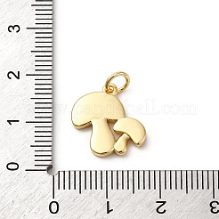 Латунь эмаль подвески&nbsp;KK-Q098-15G-02C