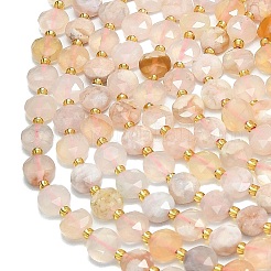 Натуральные вишневые агатовые бусины G-C116-A64-02