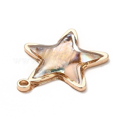 Латунь эмаль подвески&nbsp;KK-K252-10G-09