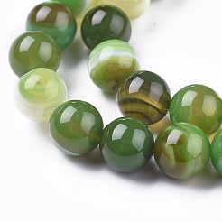 Натуральные полосатые агатовые / полосатые агатовые бусинки G-I261-C04-8mm