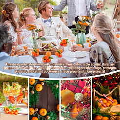 6шт 3 стиля пенопластовая искусственная модель фрукта DJEW-GA0001-52