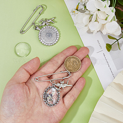 Железа брошь&nbsp;JEWB-FH00015