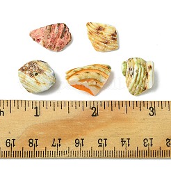 125 г 5-х цветов натуральных бусин-ракушек BSHE-FS0001-06B