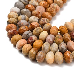 Природные сумасшедший агат бисер нитей G-C259-A04-8x12mm