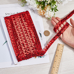 2 шт. бусины-пайетки из пластика и полиэстера&nbsp;OCOR-CY0002-11B