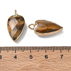 Ciondoli d'occhio di tigre naturale&nbsp;G-G012-13G-10