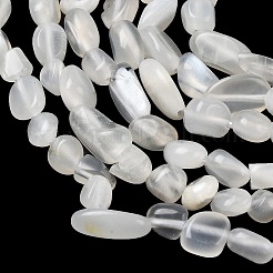 Натуральный белый лунный камень бисер пряди G-P601-A18-02