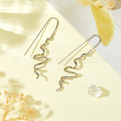 1 пара латунных сережек-подвесок&nbsp;EJEW-HS0001-29P