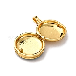 Латунь эмаль Locket подвески KK-K305-06G