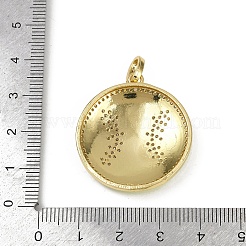 Подвески из латунной эмали и микропаве из кубических цирконий&nbsp;KK-M322-06G-01