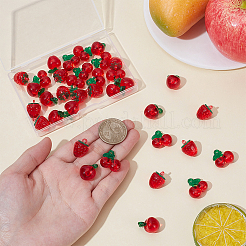 36 шт. 3 стиля акриловых имитационных фруктовых подвесок&nbsp;MACR-UN0001-08