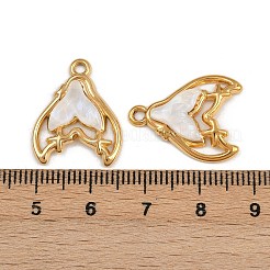 Подвески из нержавеющей стали 304 из смолы STAS-P410-10G