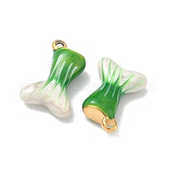 Подвески из нержавеющей стали 304 с эмалью&nbsp;STAS-K295-59G-03