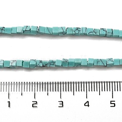 Kunsttürkisfarbenen Perlen Stränge&nbsp;G-B064-A45