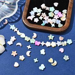 60 шт. 6 стиля макаронных бусин натурального цвета из ракушек BSHE-CJ0001-13