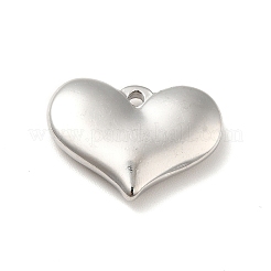 Подвески из нержавеющей стали 304&nbsp;LS-STAS-E176-01P