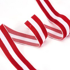 Ruban de polyester&nbsp;SRIB-F008-A05-10mm