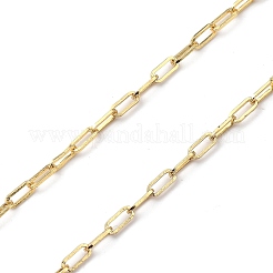 Цепочки для очков AJEW-EH00225