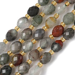 Бусины из натурального гелиотропного камня / гелиотропа G-F809-A13-01