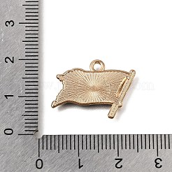Legierung mit Emaille-Anhängern&nbsp;AL-CBA9E11-03KCG-11