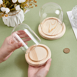 2 шт. 2-х стилистическая стеклянная крышка-купол&nbsp;AJEW-NB0007-93