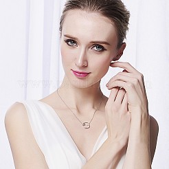 Модные 925 стерлингового серебра кубический цирконий круг подвеска ожерелья TS-N341-S