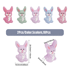 10 Stück 5 Farben&nbsp;SIL-CA0001-85