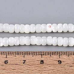 Chapelets de perles de coquille de trochid / trochus coquille&nbsp;BSHE-T014-54A