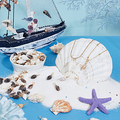 120 шт. 3 стиля подвески в виде ракушек PALLOY-HY00003