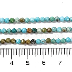 Природные Говлит бисер нитей G-C025-02B-06